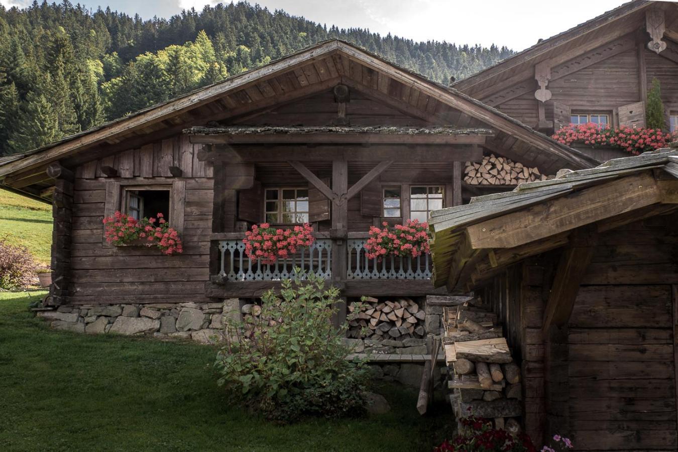 La Ferme Des Vonezins Hotel Thones Exterior photo
